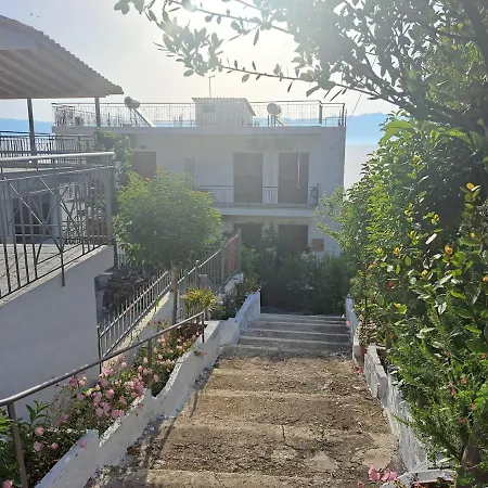 View * Petalidi