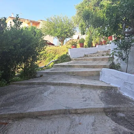 View Petalidi